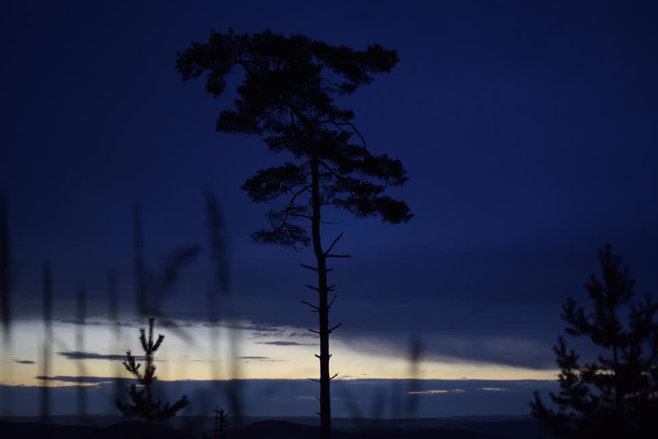 21-07-Jul-Wandern-Sa-Z.mp4