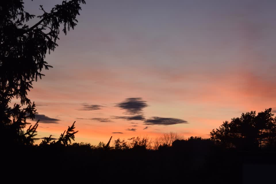 21-11-Nov-SU-Z-2.mp4